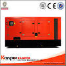 Kanpor Power by Lovol Diesel Generator Set ISO Ce Certificates